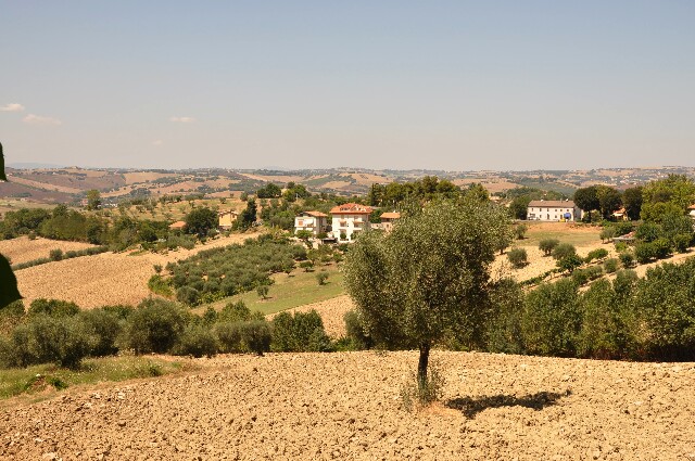 min 2009 08 18 ostra 118
